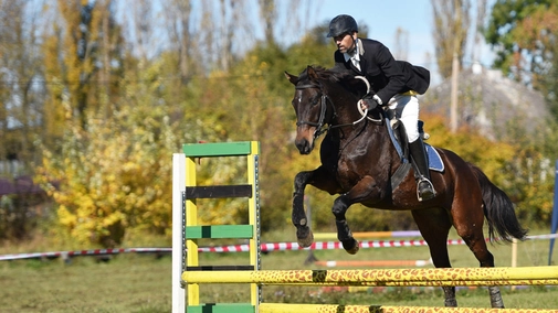 Equestrian Sports. Global Champions Tour. Valkenswaard