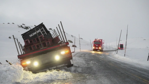 Високі ставки