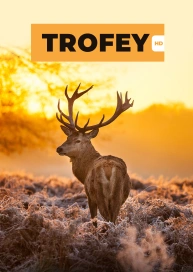 TROFEY
