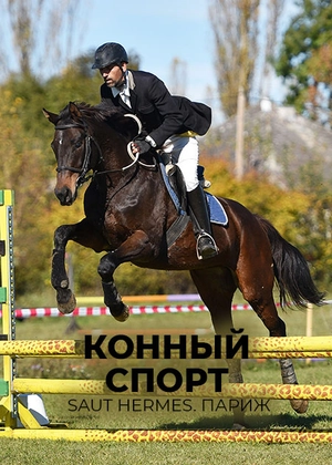 Конный спорт. Saut Hermes. Париж