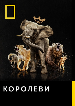 Королеви