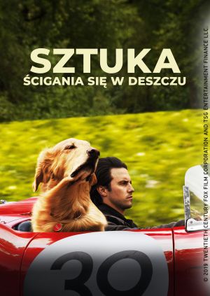 Sztuka ścigania się w deszczu — plakat