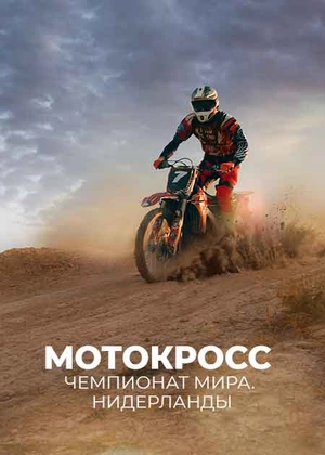 Мотокросс. Чемпионат мира. Нидерланды
