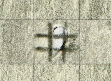 Кохання у квадраті