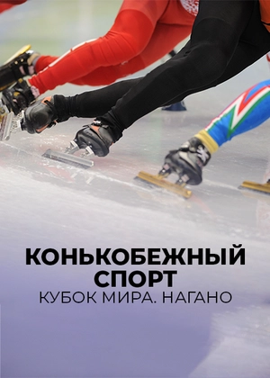 Конькобежный спорт. Кубок мира. Нагано