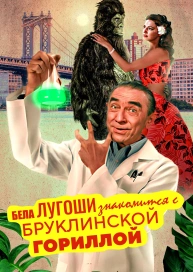 Бела Лугоши знакомится с бруклинской гориллой