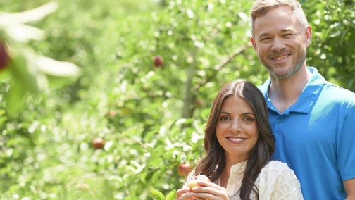 Сидр і заходи сонця