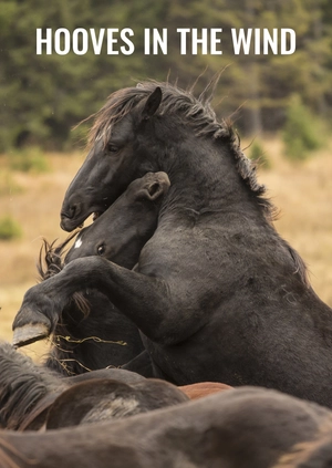 Hooves in the Wind