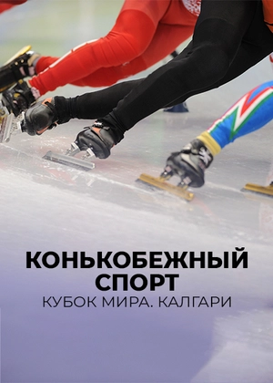 Конькобежный спорт. Кубок мира. Калгари