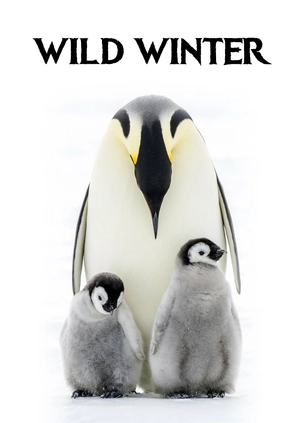 Wild Winter