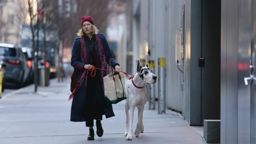 Верный друг