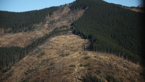 Дикі Карпати