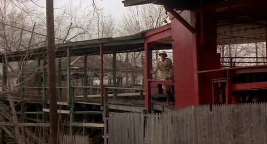 Пурпурова троянда Каїра