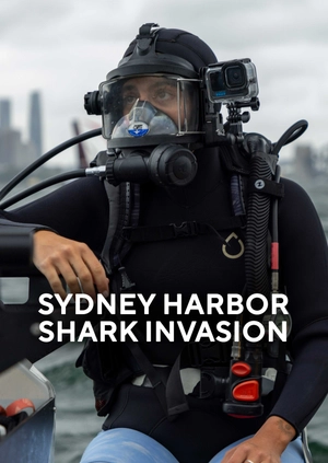 Sydney Harbor Shark Invasion